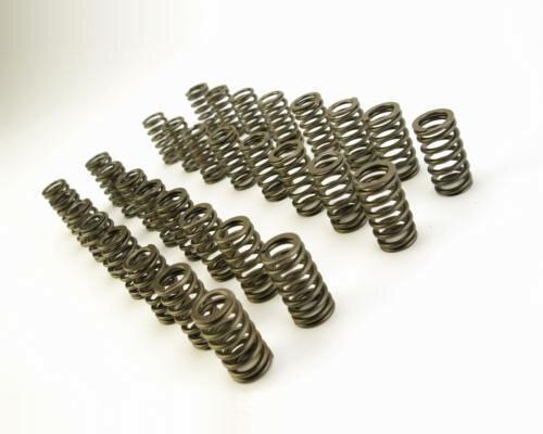 Manley Performance 221434-32 1996-2004 Cobra/Mach-1 4V Valve Spring Kit