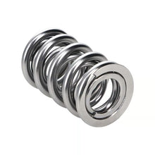 Manley Valve Spring, Spring-1.560 Double - 221442-1