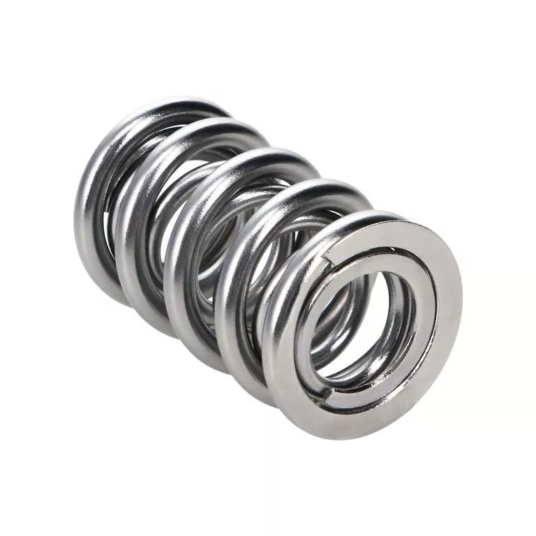 Manley Valve Spring, Spring-1.560 Double - 221442-1