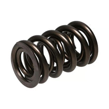 Manley Valve Spring, Spring-1.580 Double - 221443-1