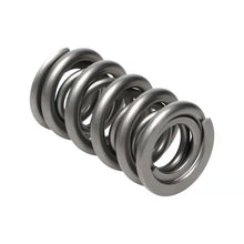 Manley Valve Spring, Spring-1.620 Double - 221446SF-1