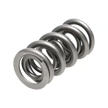 Manley Valve Spring, Spring-1.500 Double - 221456-1