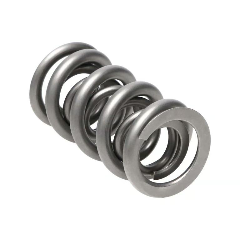 Manley Valve Spring, Spring-1.500 Double - 221456-1