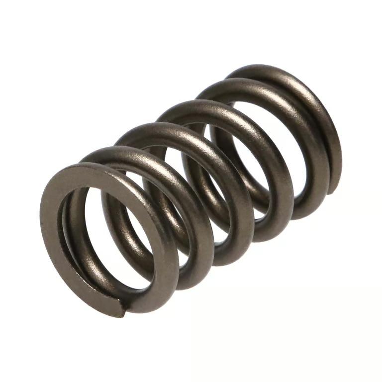 Manley 22155-24 Manley Valve Spring, SPRING-NISSAN PATROL TB48 - 22155-24