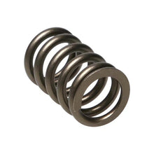 Manley 22155-24 Manley Valve Spring, SPRING-NISSAN PATROL TB48 - 22155-24