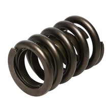 Manley Valve Spring, Spring-1.550 Single - 22406-1