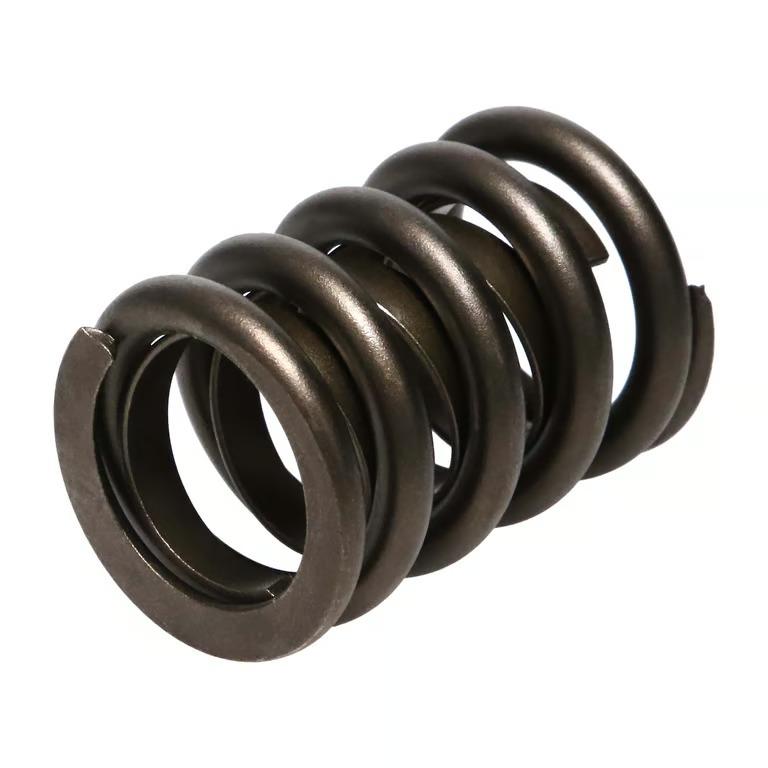 Manley Valve Spring, Spring-1.550 Single - 22406-1