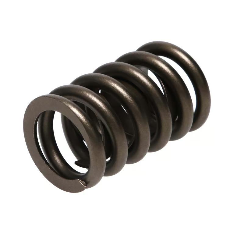 Manley Valve Spring, Spring-1.250 Single - 22409-16