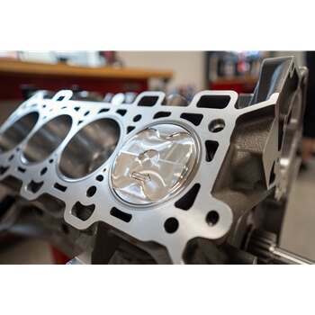 Texas Speed Forged 5.0L F150 Coyote Gen 4 Short Block 12:1 W/ Hoops
- TSP-5.0SB-GEN4-12.1-Resl-HP