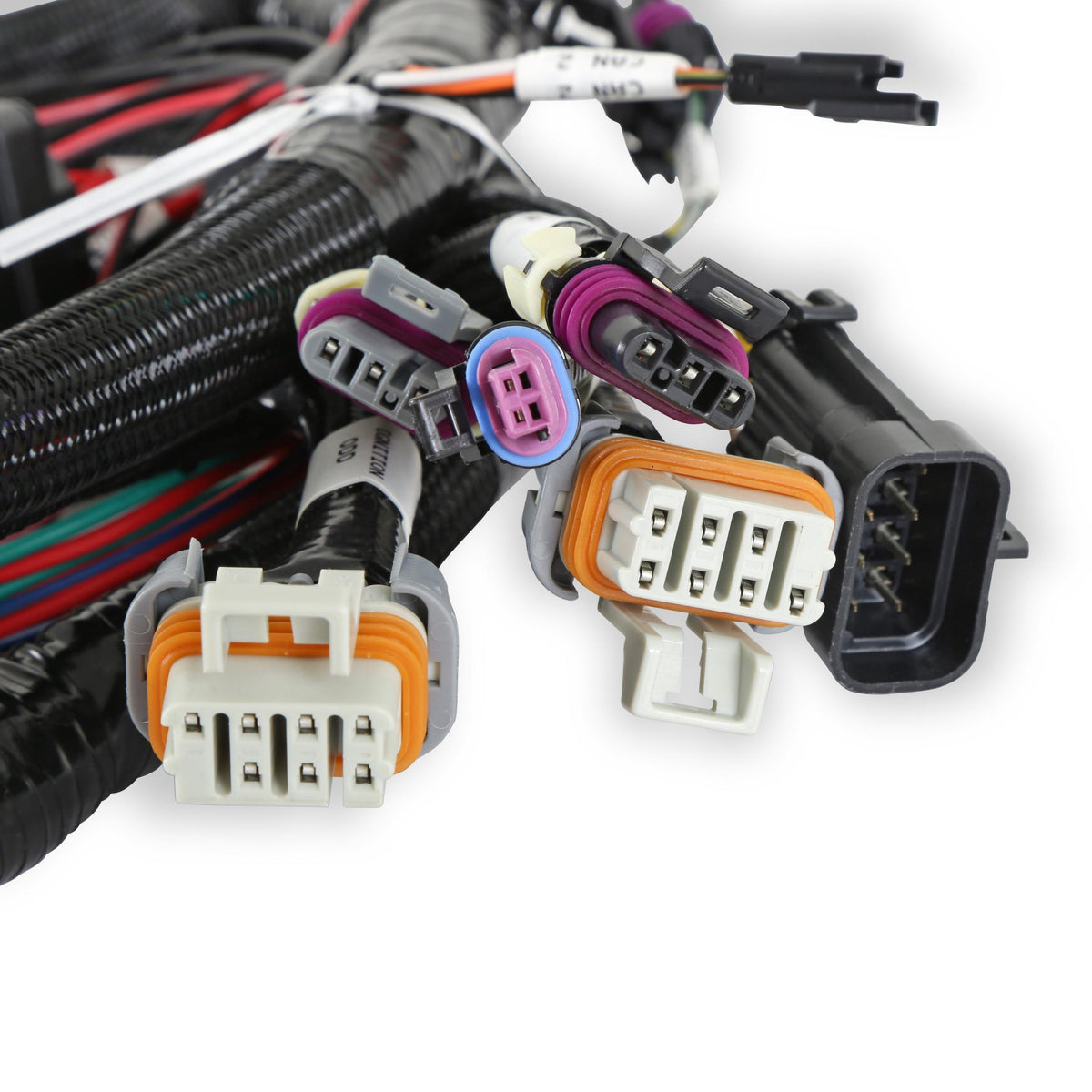 Holley TERMINATOR EFI MAIN WIRING HARNESS-TBI,LSX, 58x.  - 558-112