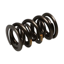 Manley Valve Spring Kit, Kit-Nextek Spring - 261454