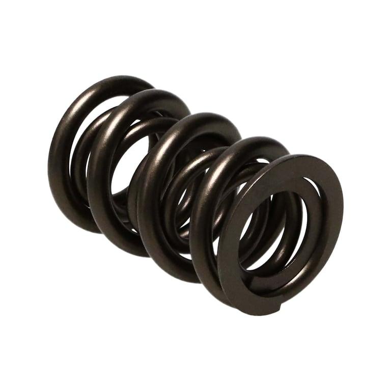 Manley Valve Spring Kit, Kit-Nextek Spring - 261454