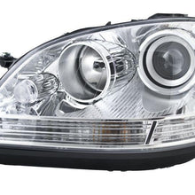 Hella Headlight Assembly - 263036051