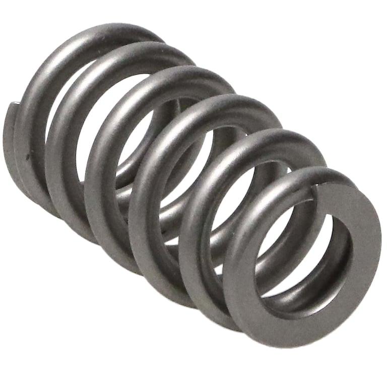 Manley Valve Spring Kit, Kit-Spring/Retainer/Locator/Lock/Seal - 26382538KS