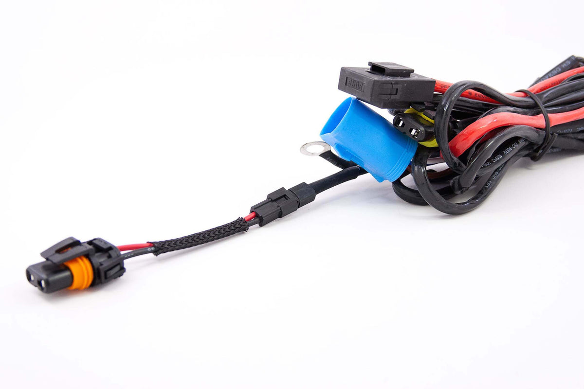 Acme Adapter: 9006 Female > Molex Male (Universal) - H720