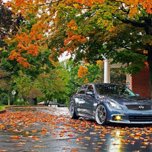Morimoto  XB LED Fogs: Type I (Set / Black) (Nissan/Infiniti Altima/Maxima/G37/G37) - LF020