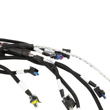 Holley Ford 7.3L Godzilla Main Harness for Smart Coils - 558-141