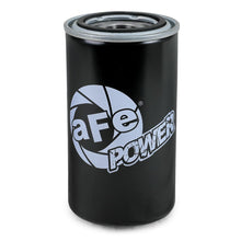 AFE Pro GUARD D2 Oil Filter (4 Pack) - 44-LF024-MB