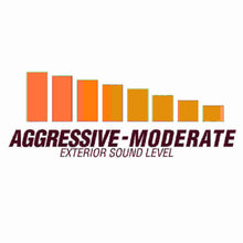 Flowmaster American Thunder Cat-Back Exhaust System - 818150