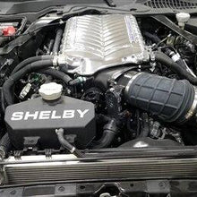 Shelby Performance Parts Fuse Box Cover - Black (2015-2022 Ford Mustang) - 29052