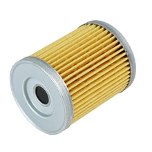 AFE Pro GUARD HD Oil Filter (Can Am ATV/UTV 07-20) - 44-PS001