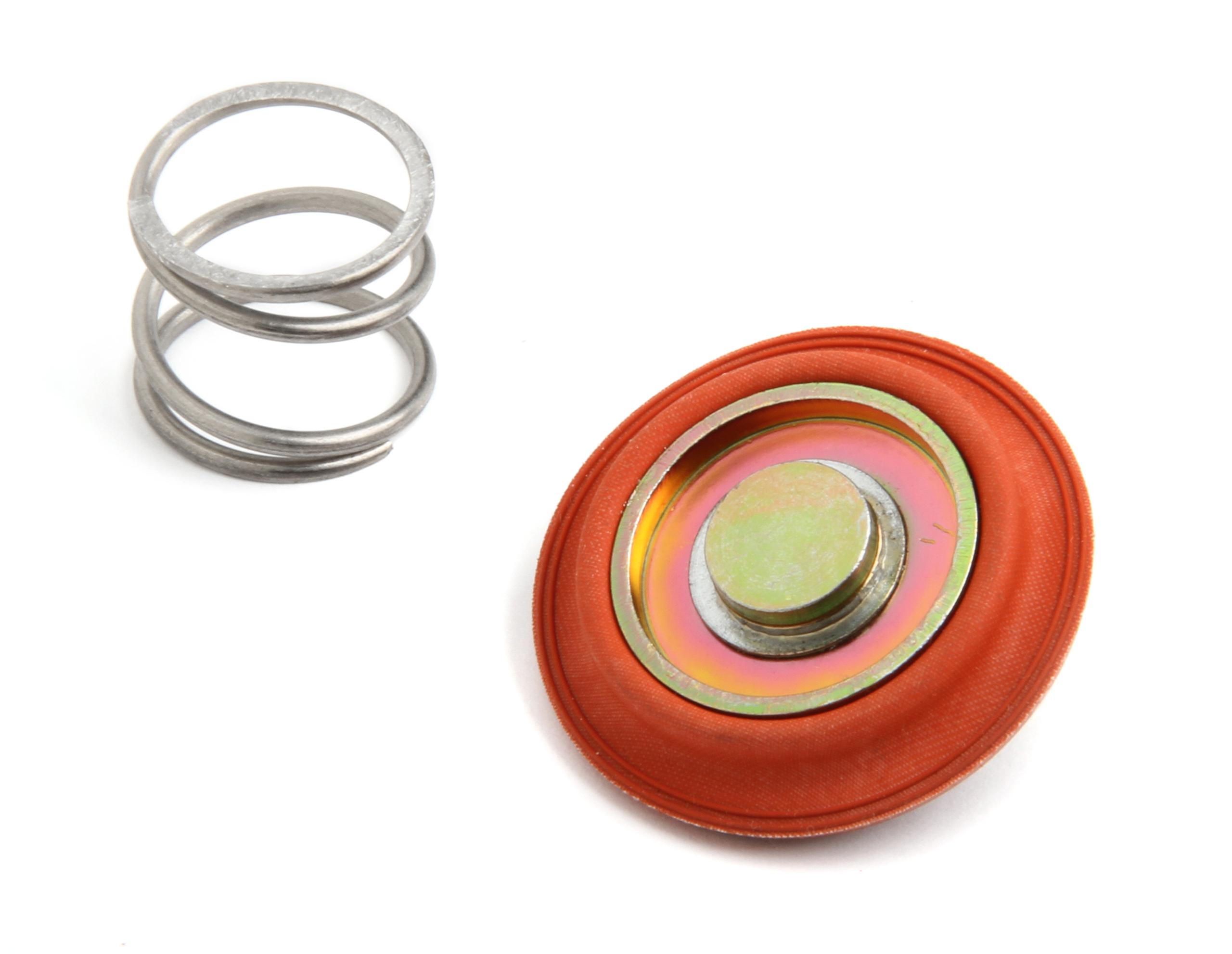 Holley Regulator Rebuild Kit.  - 12-823