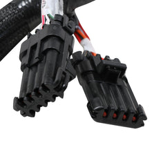 Holley Terminator Stealth 2x4 MAIN HARNESS.  - 558-121