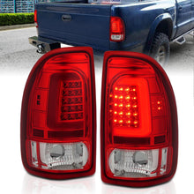 ANZO Tail Light Assembly (1997-2004 Dakota) - 311349