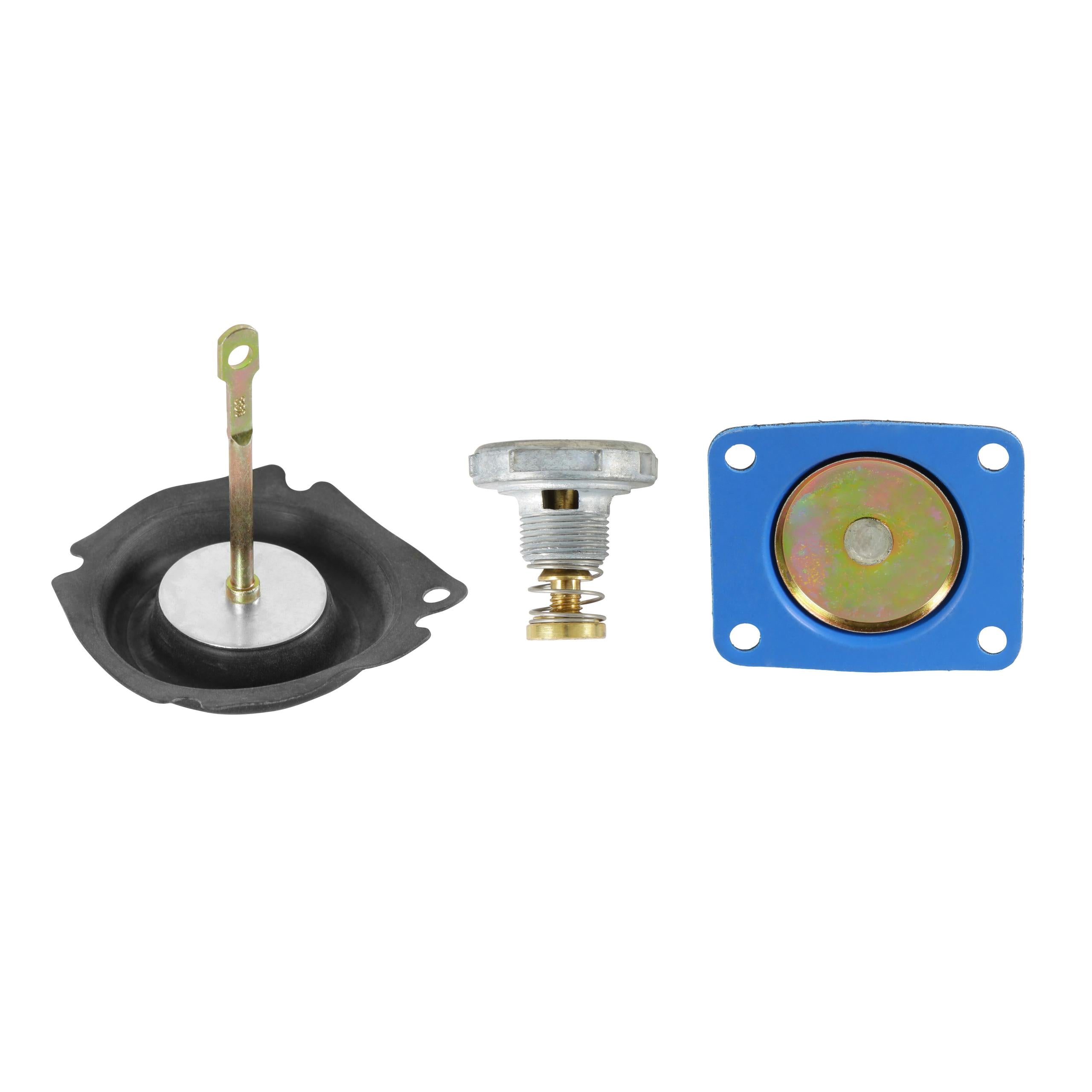 Holley Marine Renew Kit.  - 703-29
