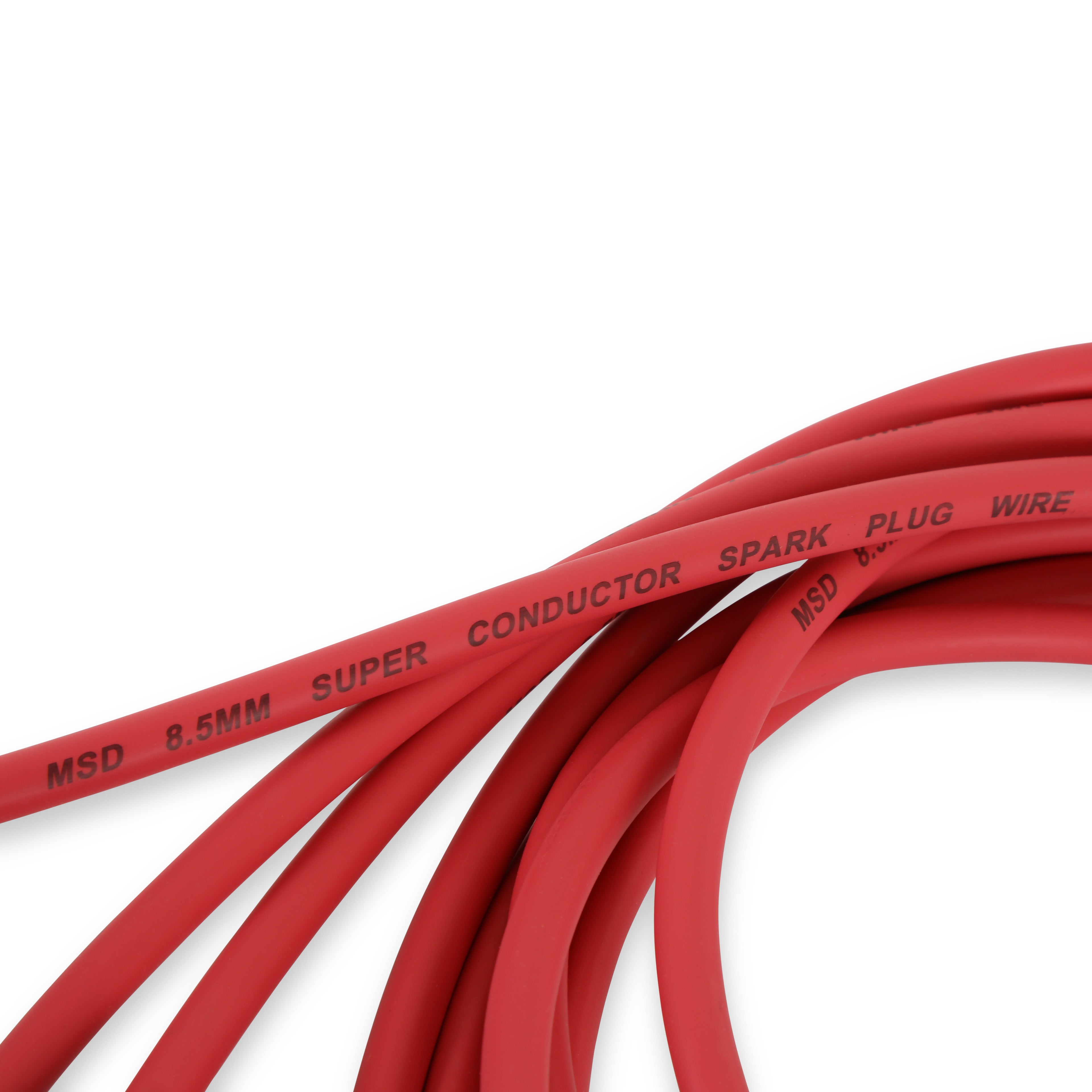 32749_05.jpg