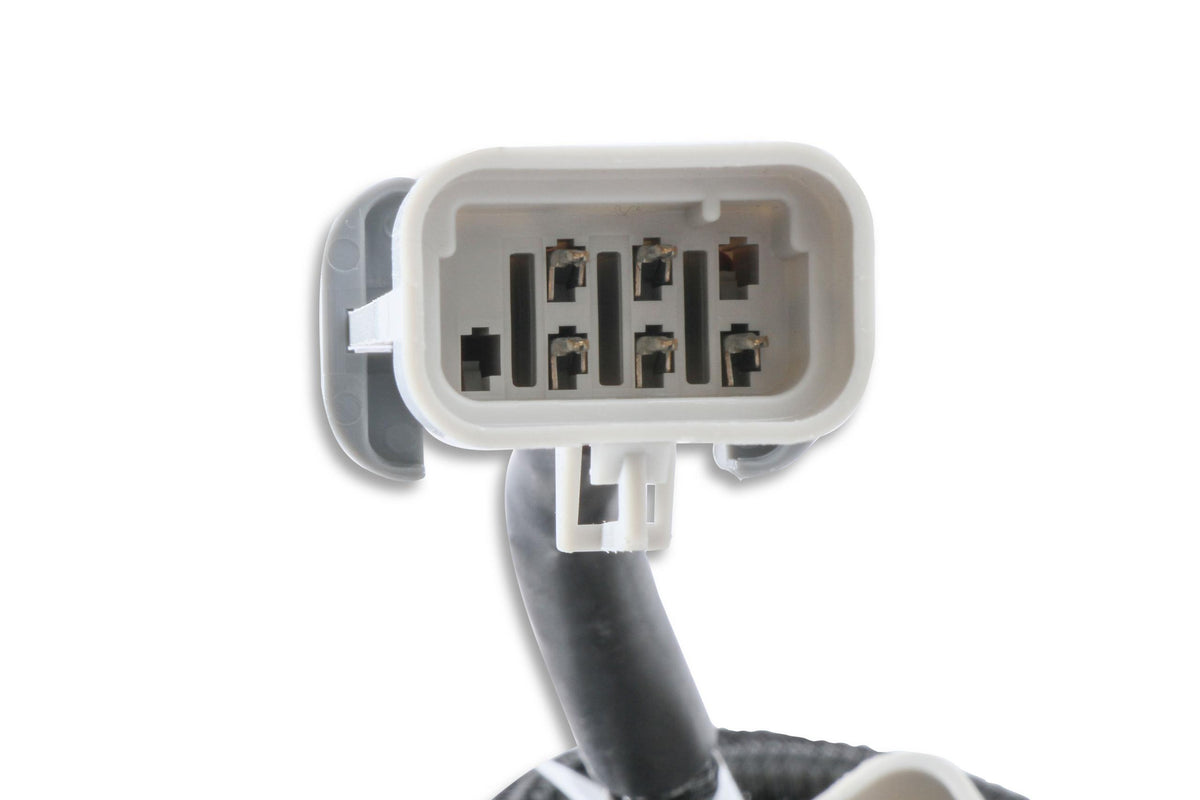 Harness,Ls-Input,Can,Replacement,8000  - 80002