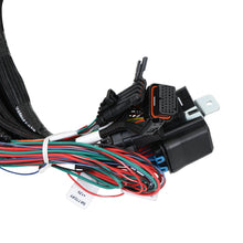 Holley Ford 7.3L Godzilla Main Harness for Smart Coils - 558-141