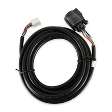 AEM Sensors/Connectors - 30-3441