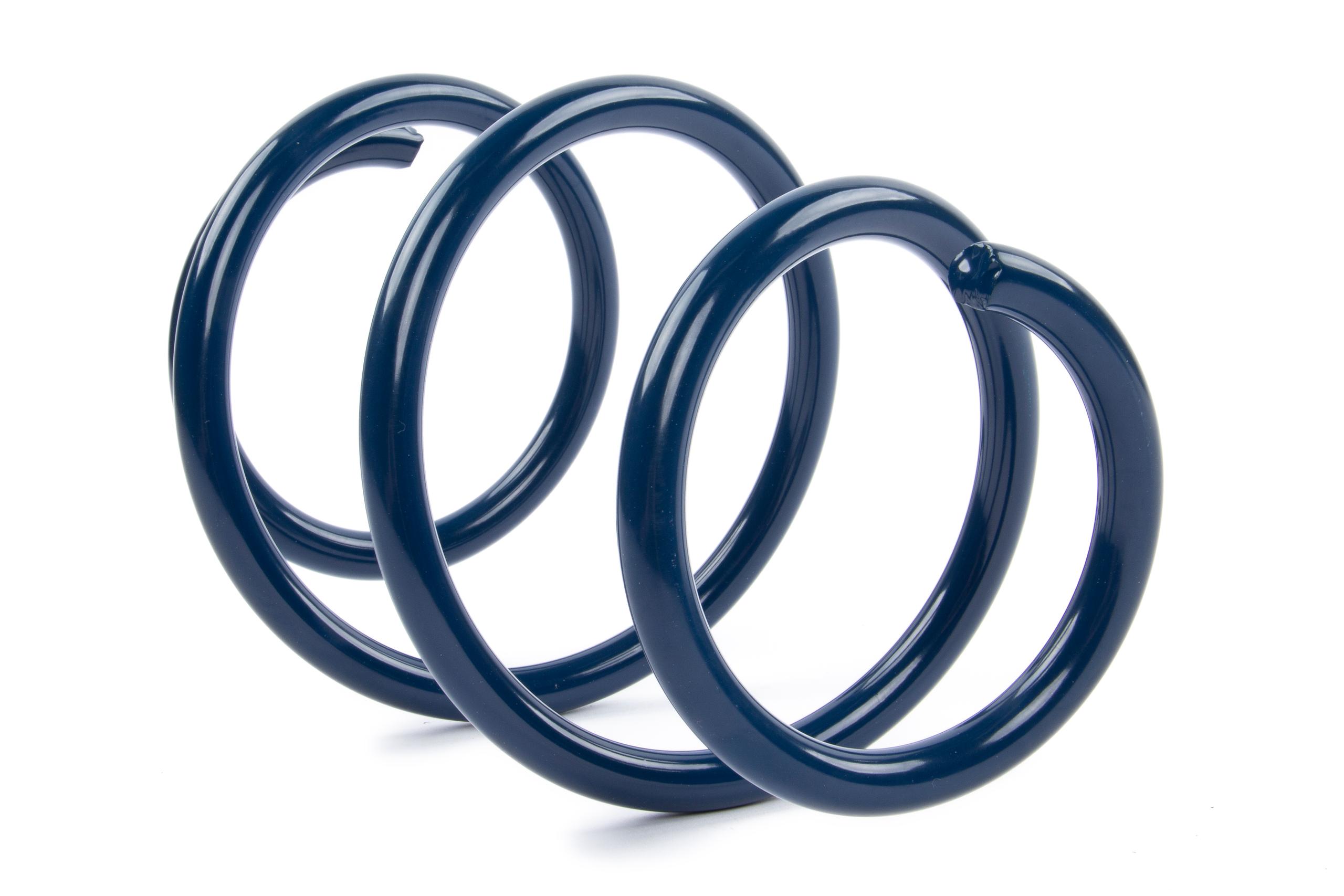 Dinan Performance Coil Spring Set; 1 in. Front And Rear Drop; - D100-0934