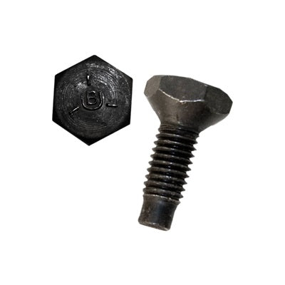 379068-s-web.jpg