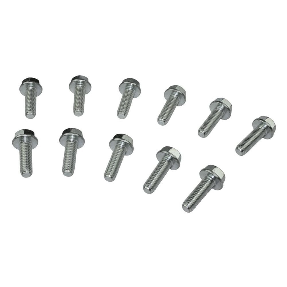 Moroso BOLTS, LIFTER VALLEY PLATE, GM LS  LSX - 38307