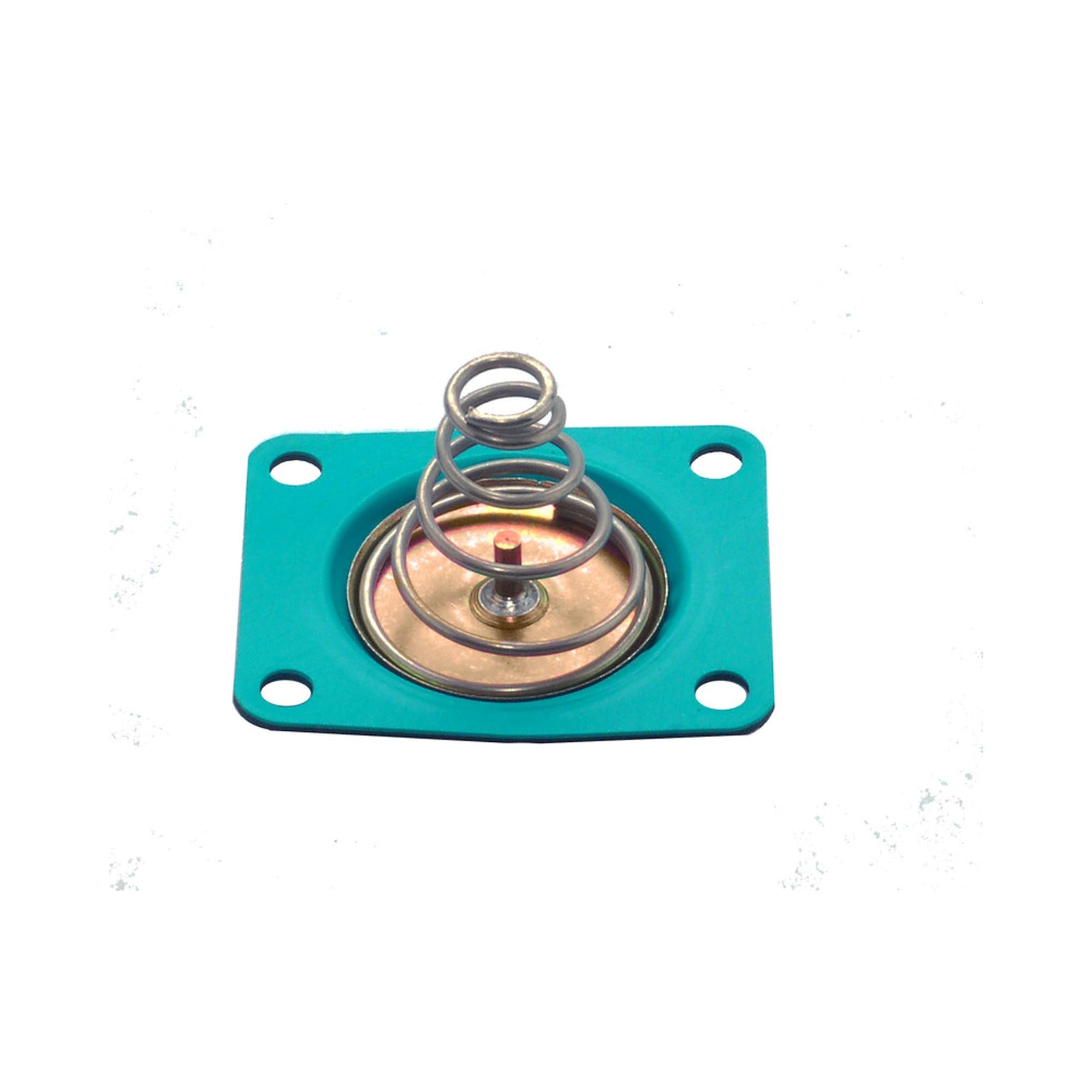 Quickfuel Fuel Pressure Regulator Diaphragm Kit. - 35-1100QFT