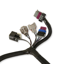 Holley Terminator Throttle Body Harness.  - 558-439
