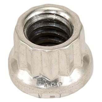 ARP 1/4-20 SS 12pt nut kit - 401-8300