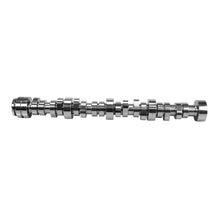Comp Cams Godzilla Stage 3 Hydraulic Roller - 405-205-17