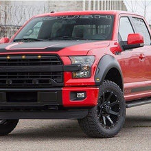 Roush Grille (2015-2017 F-150) - 422248