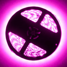 Oracle Lighting Exterior Black Flex Led Spool, Pink - 4223-009