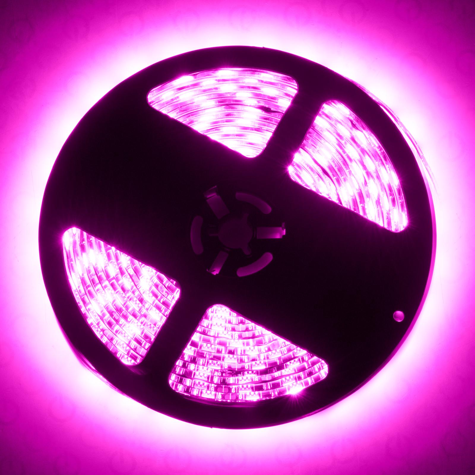 Oracle Lighting Exterior Black Flex Led Spool, Pink - 4223-009