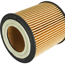 AFE Pro GUARD D2 Oil Filter (4 Pack) - 44-LF029-MB
