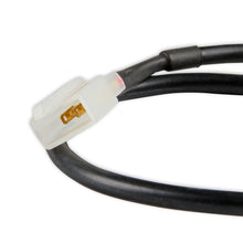 4511aor_09.jpg
