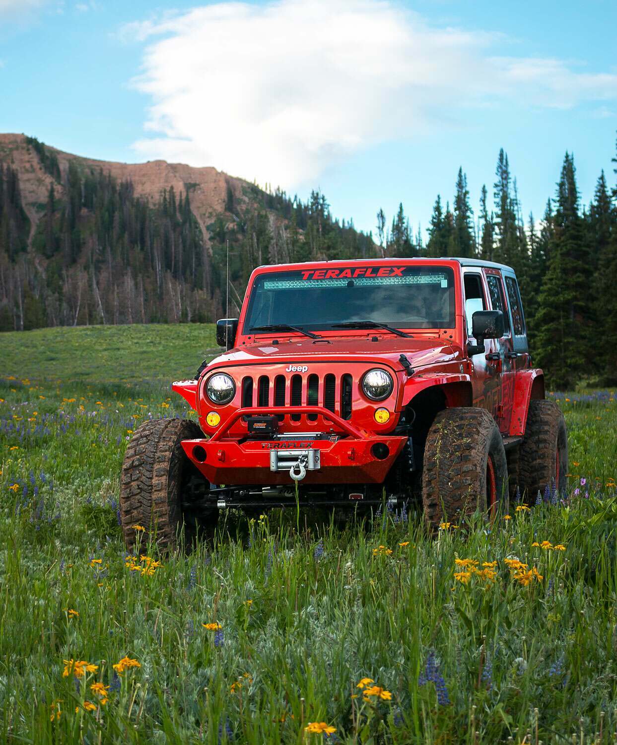 Teraflex 07-18 Wrangler JK RockGuard Epic Front Bumper w/ Hoop Offset Drum Winch - 4653130