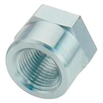Fragola 1/8  Fpt   Weld Bung - 496701
