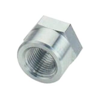 Fragola 1/2  Fpt   Weld Bung - 496704