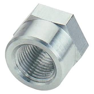 Fragola 1" Fpt     Weld Bung - 496707