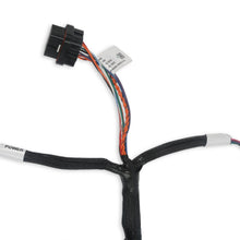 Holley Benchtop Wiring Harness - 558-127